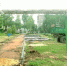 20190711 25 - Газета КИС Ртищево