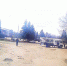 park - Газета КИС Ртищево