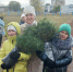 Родной лес (7).jpg - Газета Перекресток России