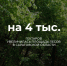 IMG_8525.jpeg - Газета Перекресток России