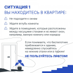 7fe63f99-c241-43e1-92bf-b3d79b13ff1d.jpg