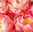 cristina-anne-costello-F0i_rfDHw74-unsplash-1.jpg - Газета Перекресток России
