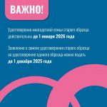 6006828101138494565.jpg