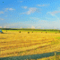 1402_n2223729_big.jpg - Газета Перекресток России