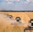 36234169e8c4ccf83fd569c497c00b74.jpg - Газета Перекресток России