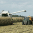 Overzicht_van_een_combiner_en_een_tractor_bezig_met_het_binnenhalen_van_de_oogst,_gezien_vanaf_de_Provincialeweg_Zuid_nabij_Eethen_-_Eethen_-_20413615_-_RCE.jpg - Газета Перекресток России