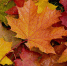 autumn-images.jpg - Газета Перекресток России