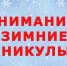 Зимн. Каникулы.jpg - Газета Перекресток России